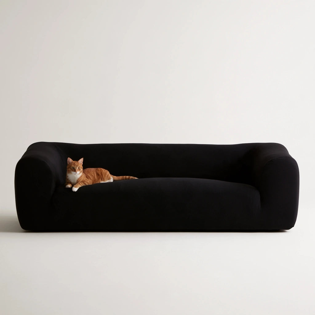 Nowoczesna sofa, o nowoczesnej formie, kolor: czarny
