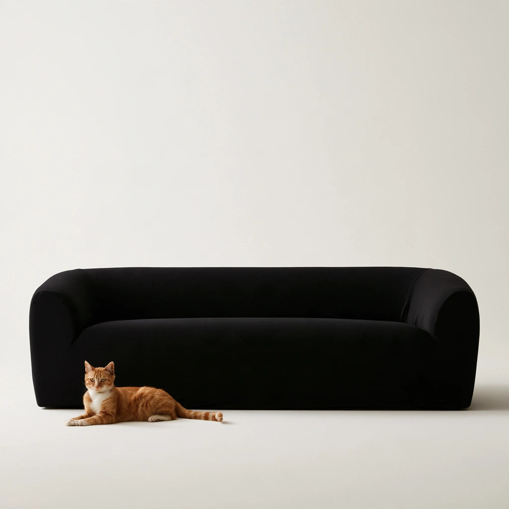 Nowoczesna sofa, o nowoczesnej formie, kolor: czarny