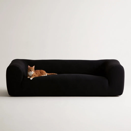 Nowoczesna sofa, o nowoczesnej formie, kolor: czarny