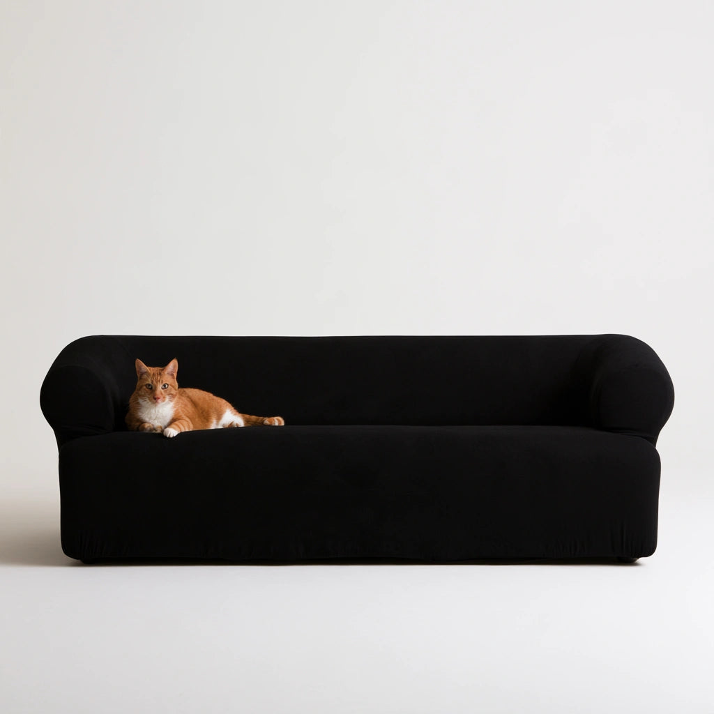 Nowoczesna sofa, o nowoczesnej formie, kolor: czarny