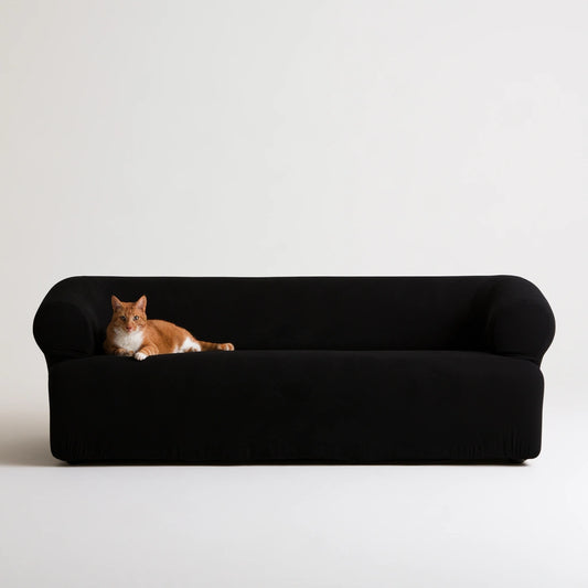 Nowoczesna sofa, o nowoczesnej formie, kolor: czarny
