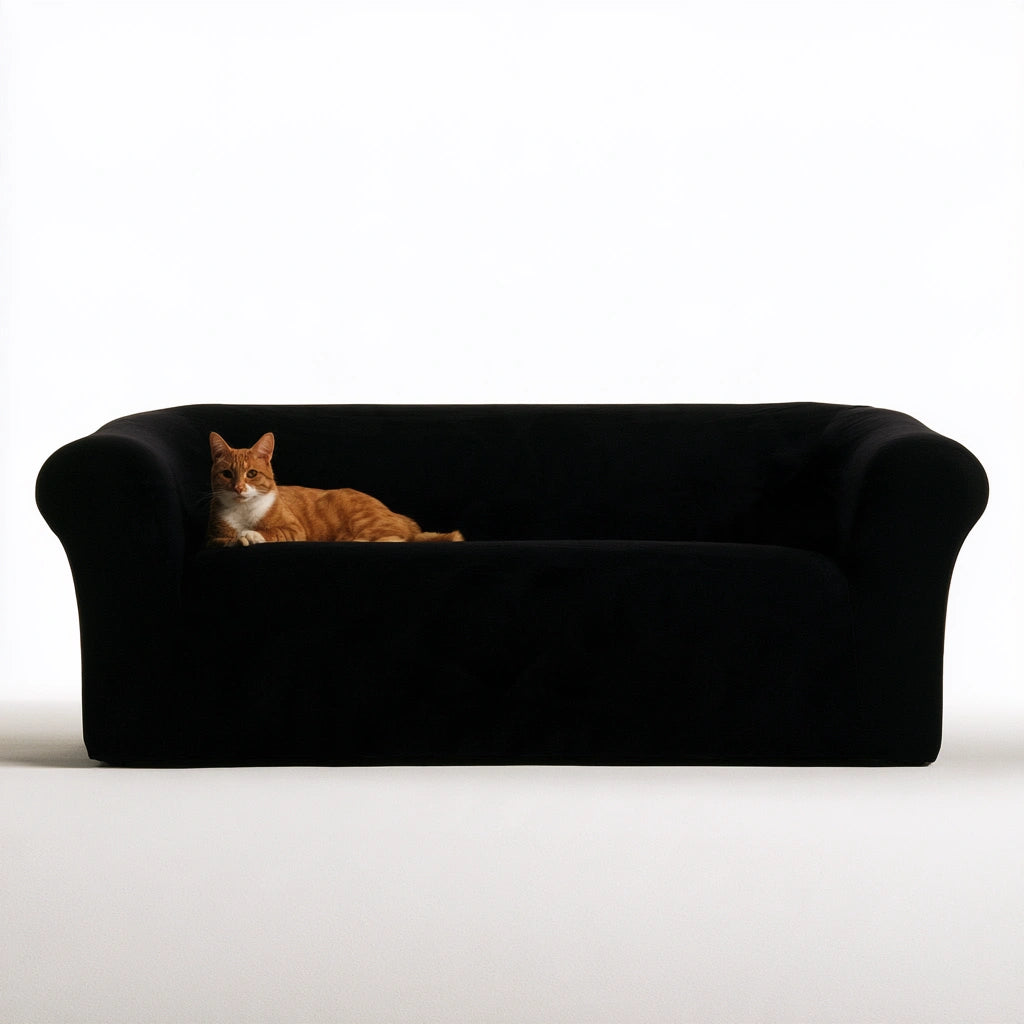 Nowoczesna sofa, o nowoczesnej formie, kolor: czarny